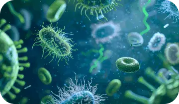VisiFlora gut health